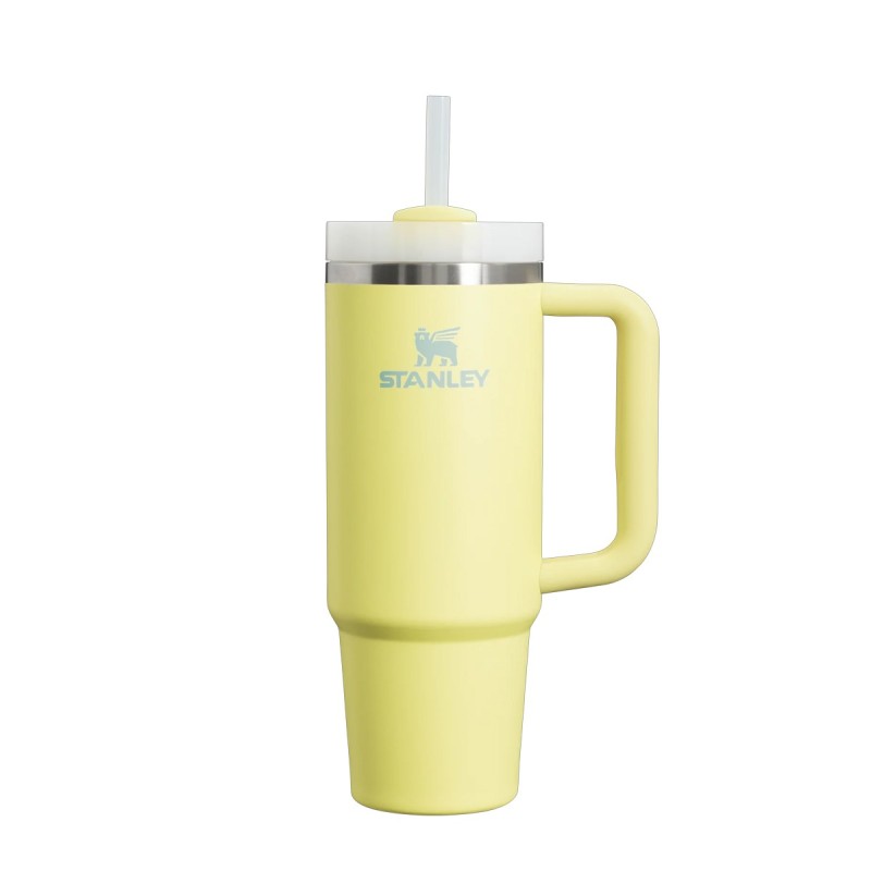 Stanley Thermos 6